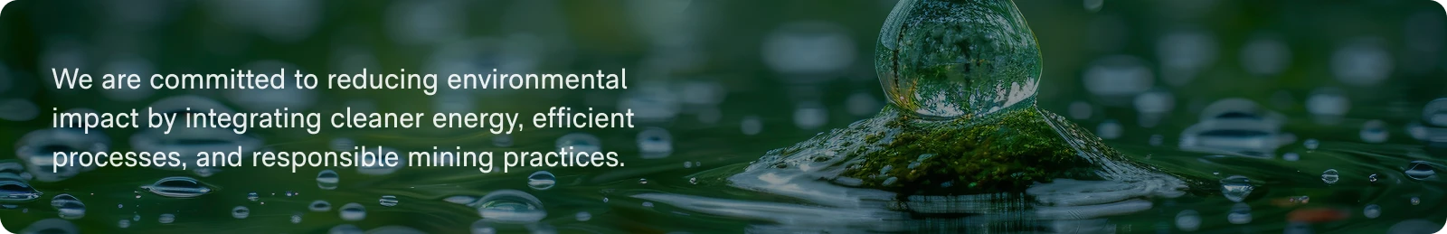 Environmental Stewardship quotes